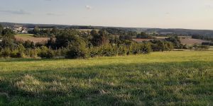 Homepage_28